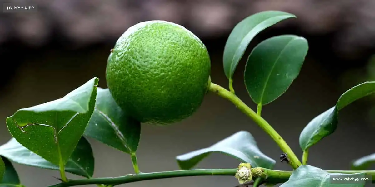 <strong>zoty中欧</strong>🎾无论是单打独斗，还是团队协作，这里都有属于你的精彩！